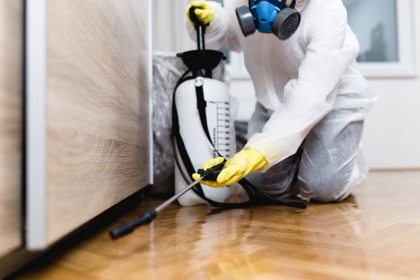 Best Affordable Pest Control Services  in Ottumwa, IA