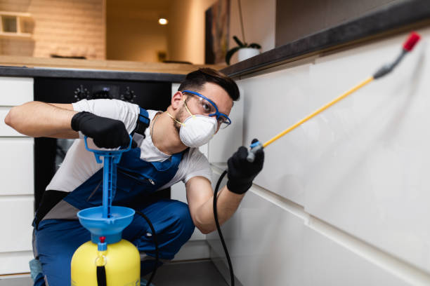 Best Wasp Removal Services  in Ottumwa, IA