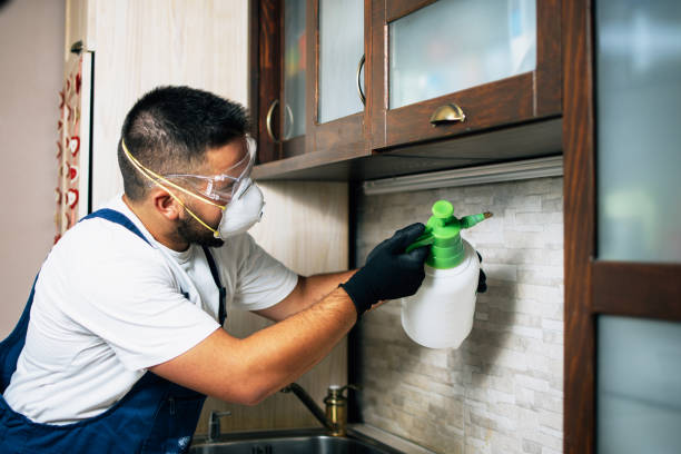 Best Pest Removal Services  in Ottumwa, IA
