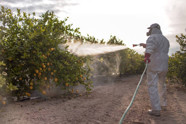  Ottumwa, IA Pest Control Pros