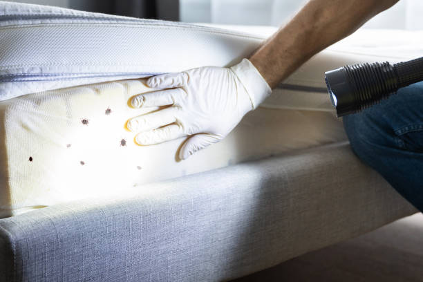 Best Commercial Pest Control Services  in Ottumwa, IA