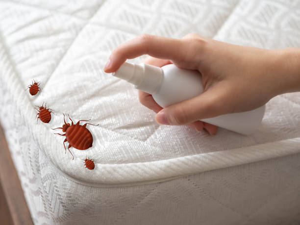 Best Cockroach Control Services  in Ottumwa, IA