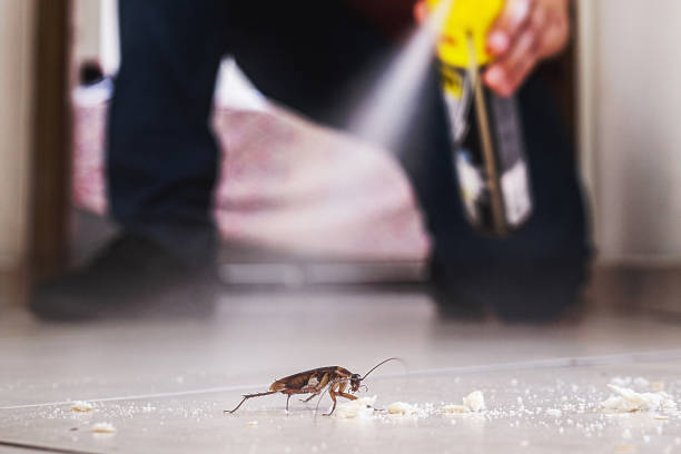 Best Pest Prevention Services  in Ottumwa, IA